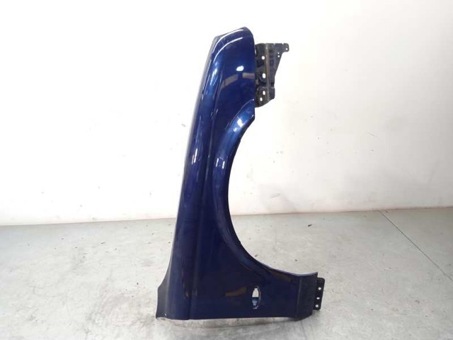 XR826896 Jaguar