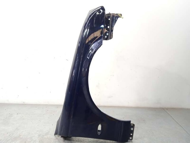 XR826896 Jaguar