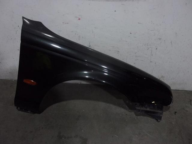 XR826896 Jaguar