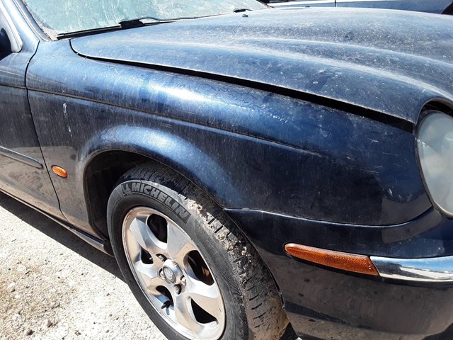 XR826896 Jaguar