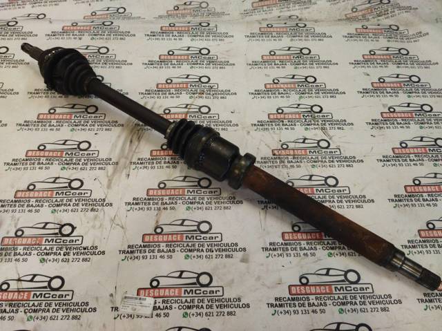 Junta homocinética exterior delantera Ford Focus 1 DFW