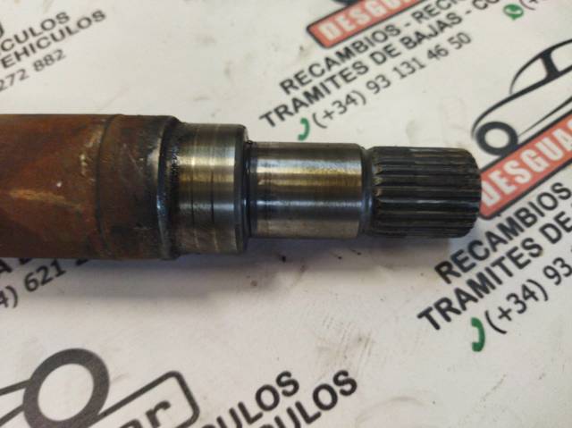 Junta homocinética exterior delantera Ford Focus 1 DFW