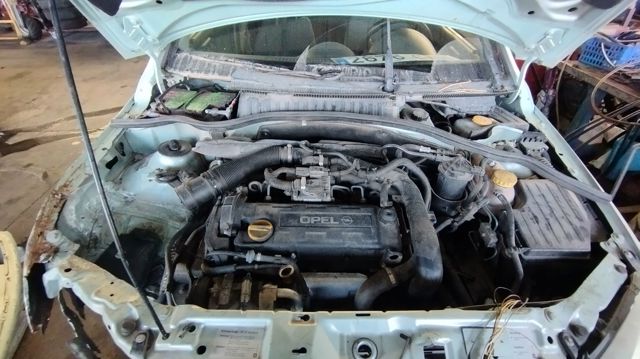 Y17DTL Opel