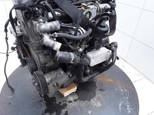 Y22DTR Opel
