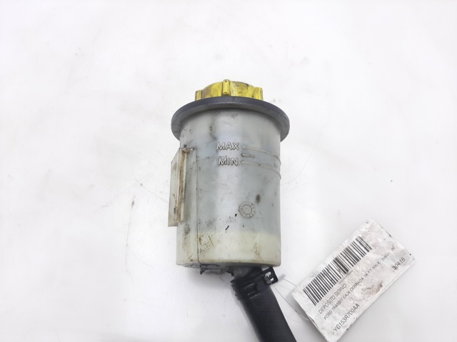 Depósito compensación de dirección asistida Ford Connect  (TC7)