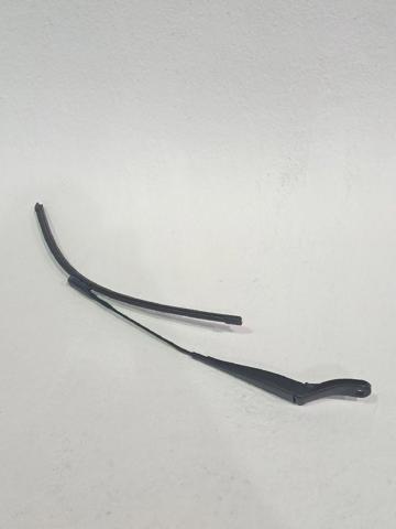 Comprar Brazo del limpiaparabrisas, luna delantera C3 II 2R, 2C