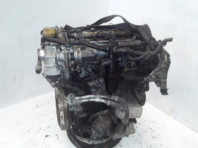 Z19DTH Opel