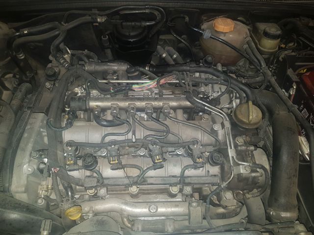 Z19DTH Opel