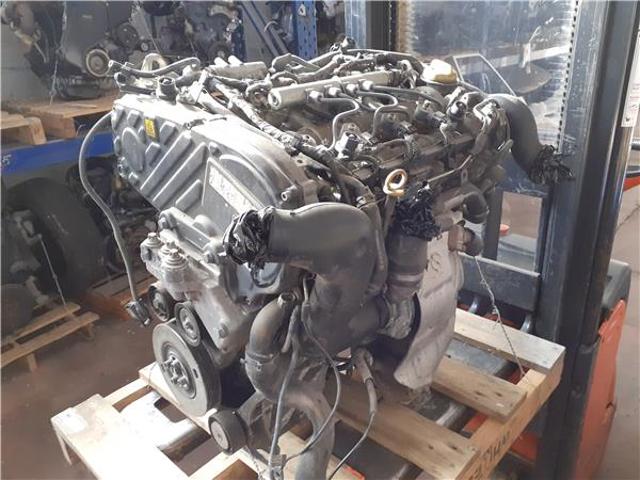 Z19DTH Opel
