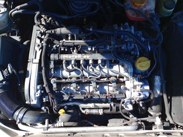 Z19DTH Opel