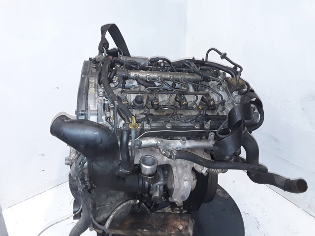 Z19DTH Opel