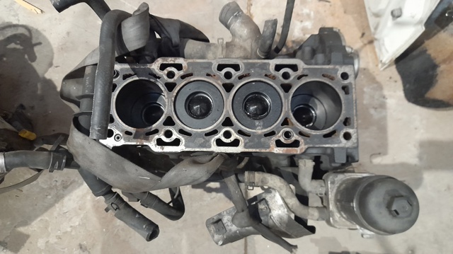 GM Z20S1 Motor completo  comprar en Albacete