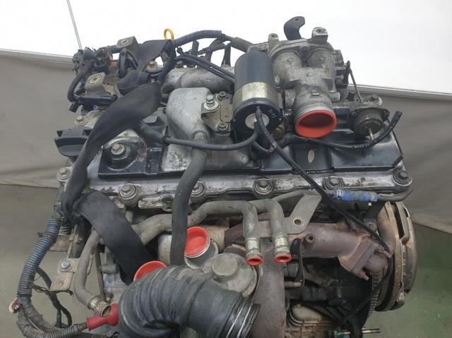 ZD30DDTI Nissan/Infiniti