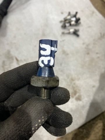 VAG 06K919081 Indicador, presión del aceite  comprar en Albacete