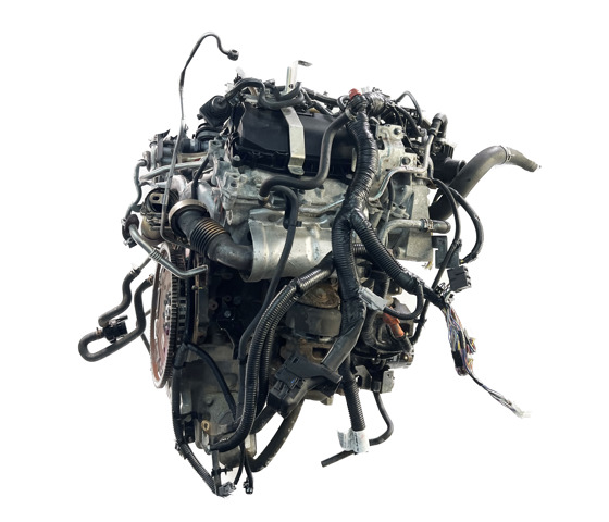 Motor completo Nissan Pathfinder (R51M)