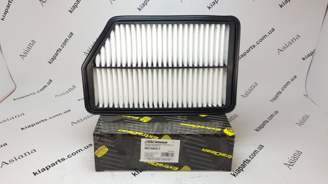 REC610171 Rider Filtro antipolen