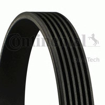 Correa de transmisión trapezoidal Continental/Siemens 6PK1244 precio, desde 27,95 EUR