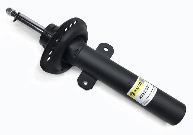 RS312937 Raiso Amortiguador frontal