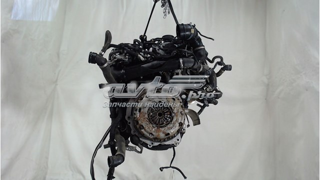 04L100033C VAG motor completo