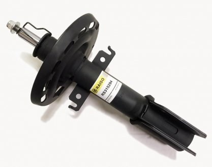 Amortiguador delantero Raiso RS315294