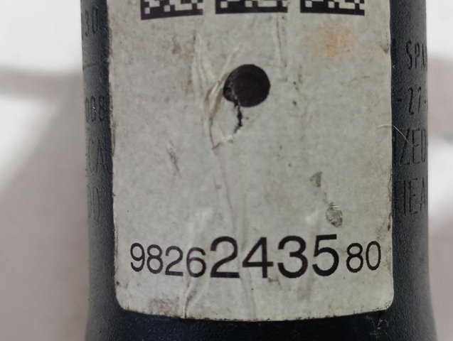 9826243580 Peugeot/Citroen Amortiguadores posteriores