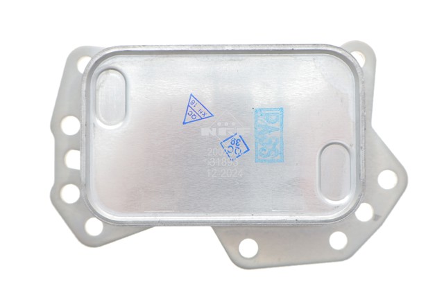 Radiador de aceite debajo del filtro 213050344R Renault (RVI)
