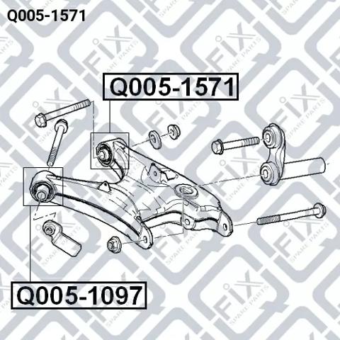 Buje del brazo inferior trasero Q0051571 Q-fix