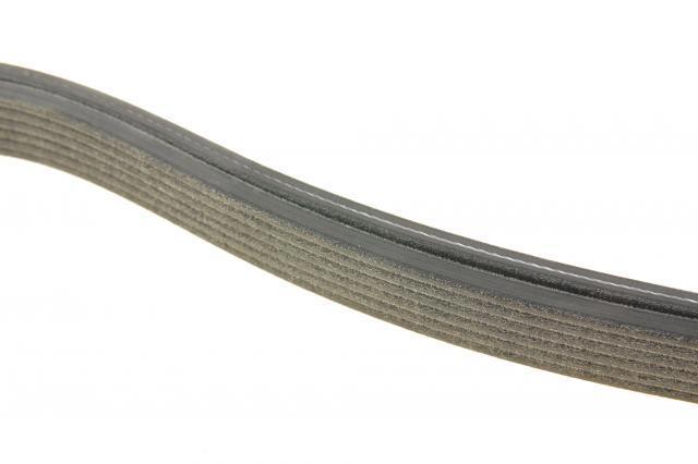 6DPK1840 Dayco Correa poly v