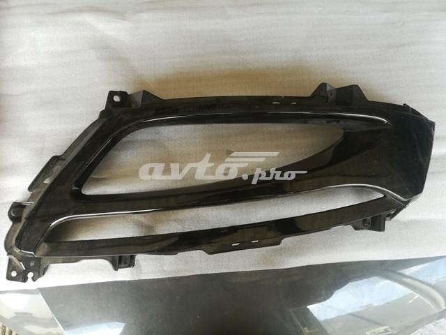 Tapa de rejilla de faro antiniebla delantero izquierdo Hyundai/Kia 865512T020 precio, desde 10,39 EUR