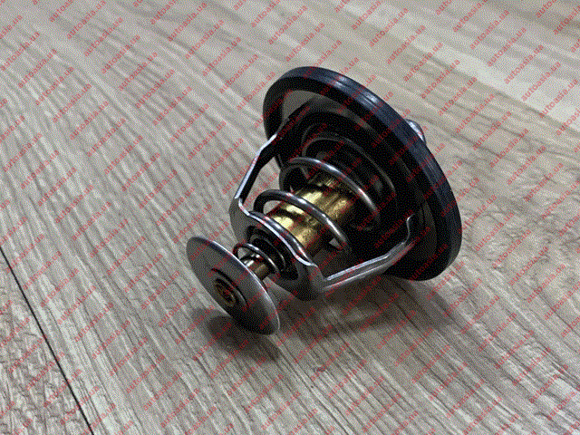 1023779300 BYD Termostato de agua