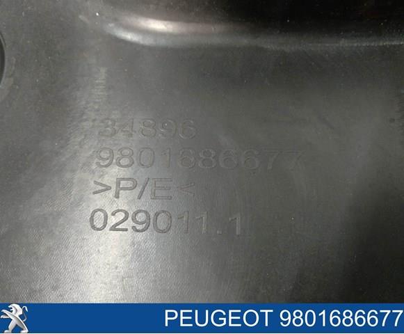 9801686677 Peugeot/Citroen Defensa trasero
