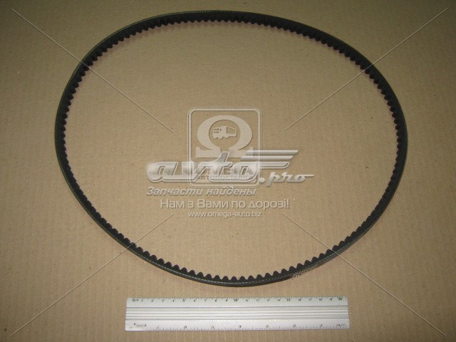 Comprar 13X1100 Dongil Correa trapezoidal