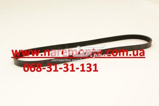 Comprar 1307012E06 Great Wall Correa trapezoidal