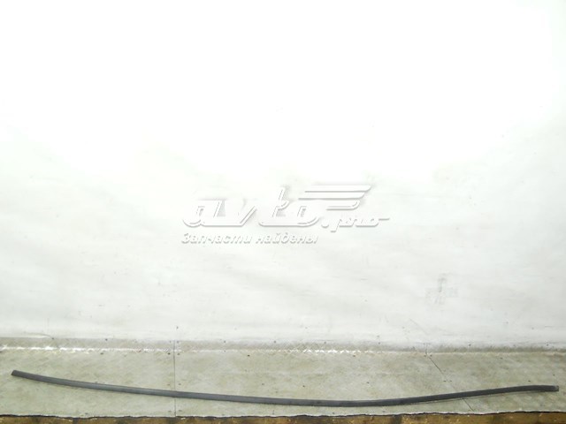 Moldura de techo izquierda para Honda Civic (FD1)