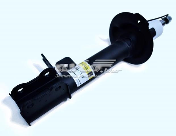 RS317140 Raiso Amortiguador trasero derecho