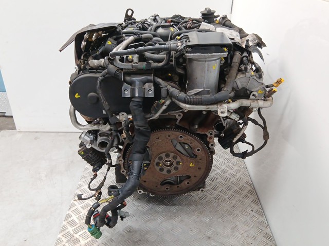 UHZ Peugeot/Citroen Motor completo