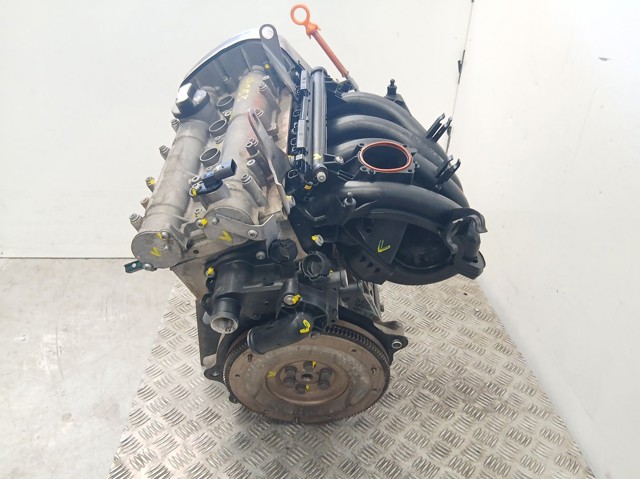 BXW VAG Motor completo