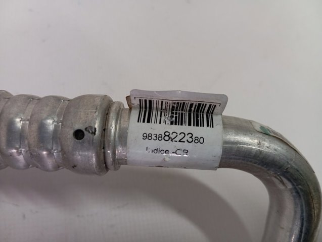 Comprar 9838822380 Peugeot/Citroen 