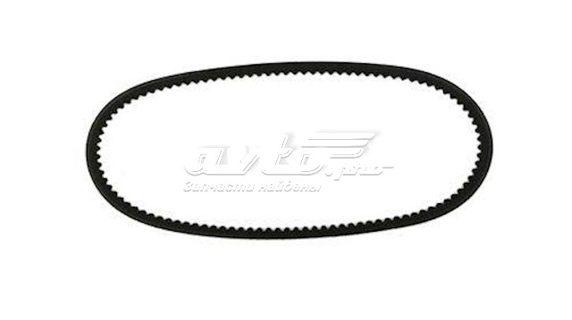 Correa accesorios Continental/Siemens 10X600