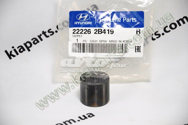 222262B419 Hyundai/Kia