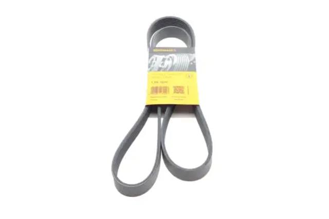 Correa de alternador 7PK1570 Continental/Siemens