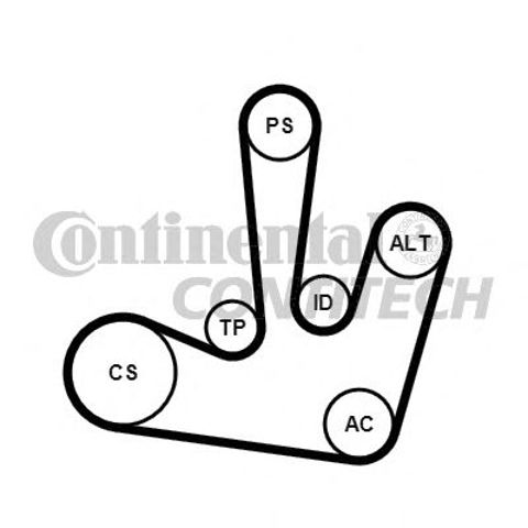 6PK1795K1 Continental/Siemens correa de transmision, juego completo