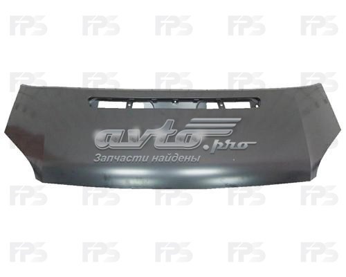 Capot FPS FP2806280