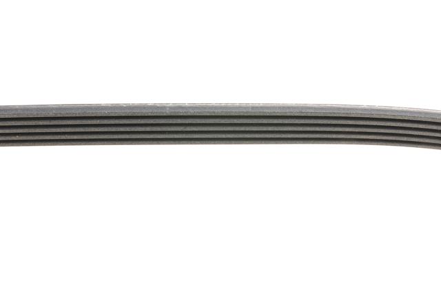 Comprar 5PK1180 Continental/Siemens Correa trapezoidal