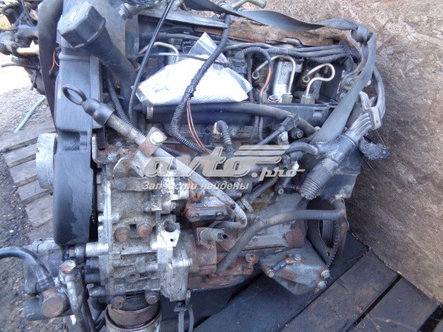 Comprar 814043B Iveco Motor completo