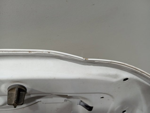 Comprar 9820422880 Peugeot/Citroen Capó