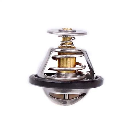 Comprar 683394RC Fitshi Termostato