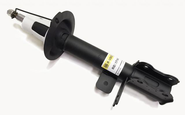 Amortiguador trasero derecho Raiso RS317140 precio, desde 53,51 EUR