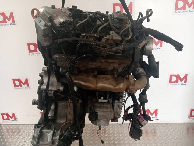 BMK VAG Motor completo