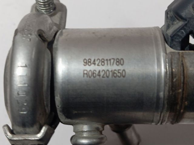 Inyector AdBlue 9842811780 Peugeot/Citroen